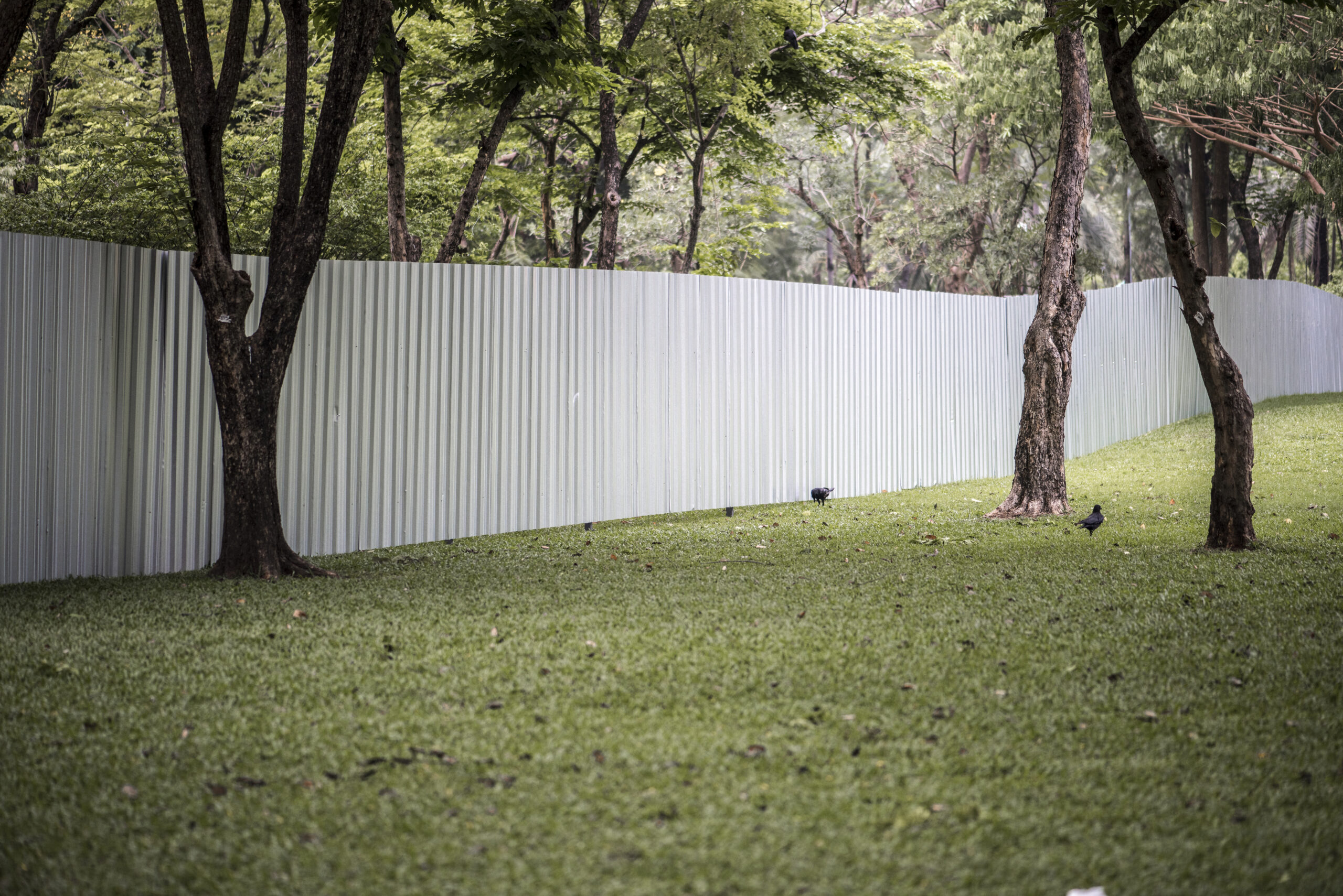 https://guardianfencing.us/wp-content/uploads/2025/02/big-fence-urban-park-1-scaled.jpg